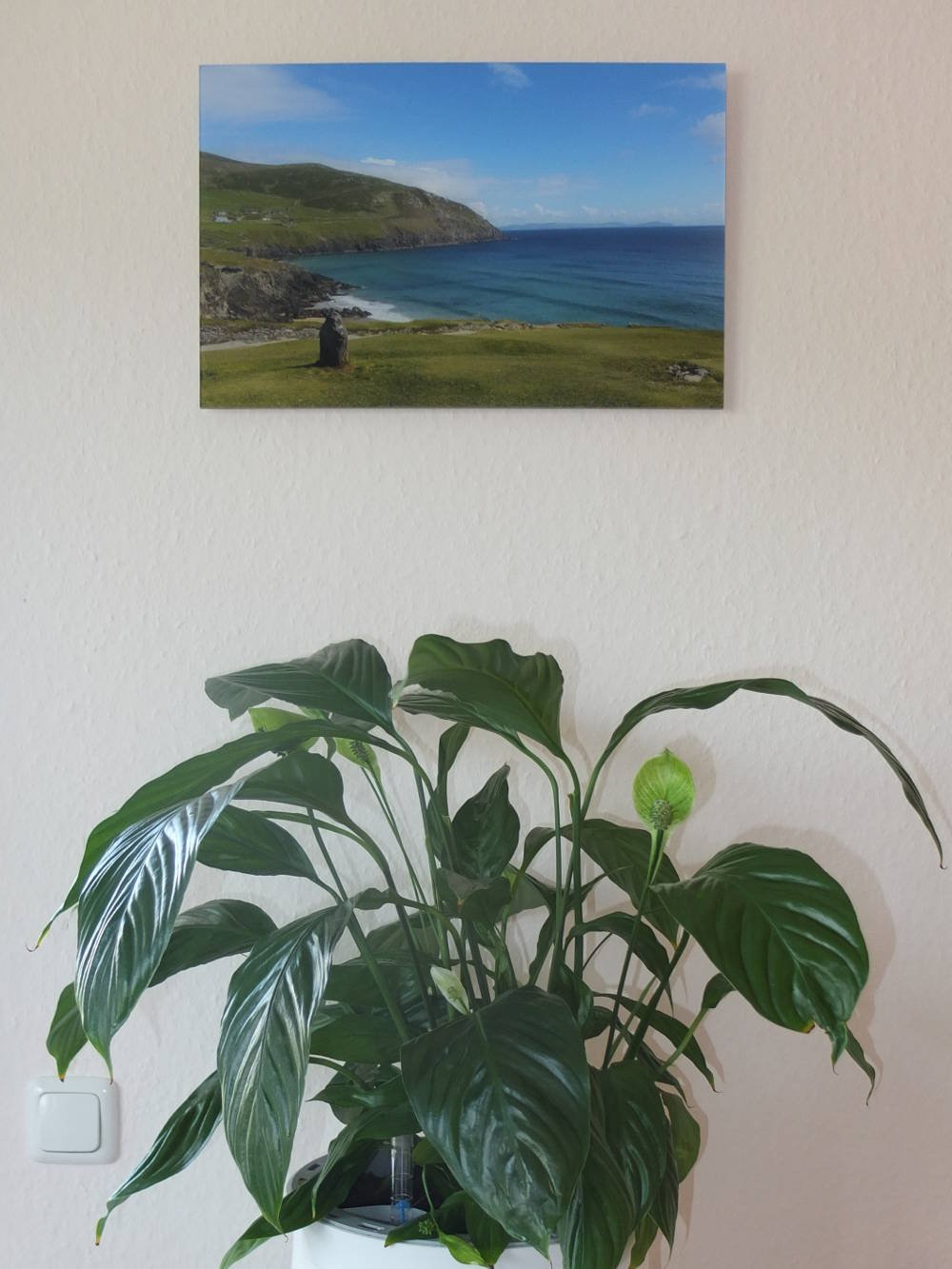 photocircle-nachhaltige-wandkunst